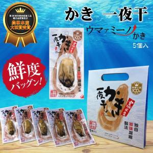 かき一夜干セット　5個入 天日干しにして旨味up