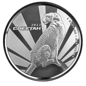 純銀笹吹き 50g ササブキ ささぶき 粒銀 銀の粒 SV1000 インゴットの素