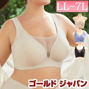 ブラジャー 大きいサイズ レディース 下着 インナー ノンワイヤー メッシュ シアー 夏新作 夏 秋 春 LL 2L 3L 4L 5L 6L 7L ブラック 黒 ベージュ ブルーグレー