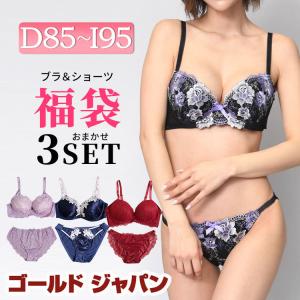 ブラジャー 大きいサイズ レディース 下着 セット