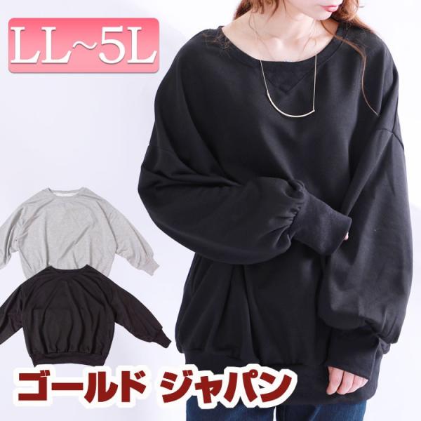 大きいサイズ レディース トップス 長袖 春秋 秋冬 春 秋 冬 LL 2L 3L 4L 5L XL...