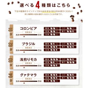 送料無料 コーヒー コーヒー豆 コーヒー粉 2...の詳細画像4