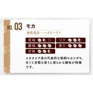 全国送料無料 モカスペシャル コーヒー コーヒ...の詳細画像5