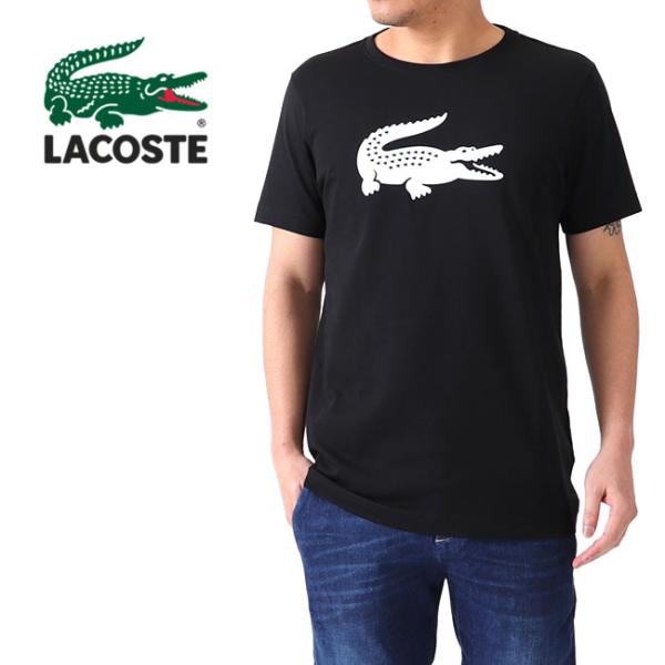 LACOSTE ビッグロゴ ウルトラドライ Tシャツ TH3377L 半袖Tシャツ メンズ ラコステ