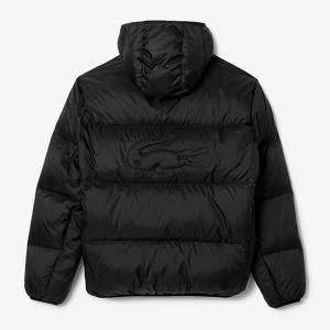 LACOSTE ラコステ 撥水 バックロゴ フ...の詳細画像5