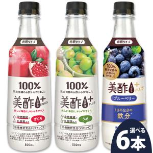 徳潤 ショウキT-1プラス 30包 選べるおまけ付き タンポポ茶 送料無料