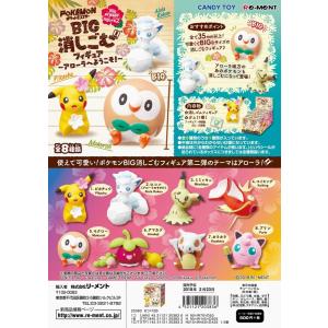 リーメント (ジャンク品)リーメント ポケモン 星降る夜のスターリウム