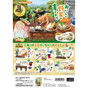 リーメント ぷちサンプル 野菜全6種の高価買取価格