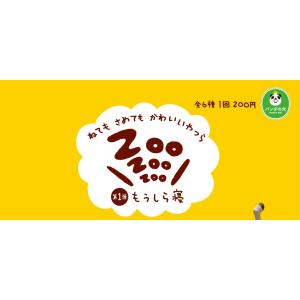 カプセルガチャ　タカラトミー２００　パンダの穴　ZooZooZoo 第1弾 もうしら寝　全６種セット｜goldendrop