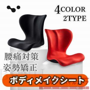 スタンダード スタイル ボディメイクシート骨盤矯正