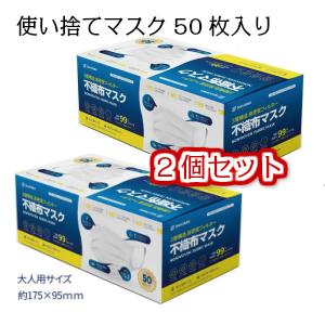 不織布マスク 50枚入り 2個セット 大人用　3層構造 立体プリーツ かぜ 花粉 ウィルス飛沫 PM...