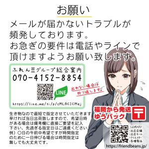 生体 穂竜 約7〜8センチ(1匹)変わり竜/ピ...の詳細画像4