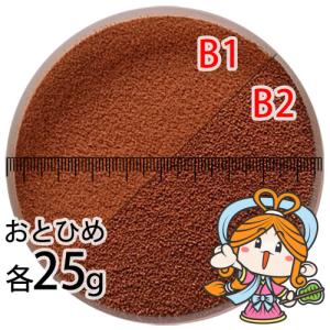 沈降性(沈下性)お試し日清丸紅飼料おとひめB1(0.2~0.36mm)とB2(0.36〜0.62mm)の各25g小分け品(メール便／金魚小屋-希-福岡／3日)