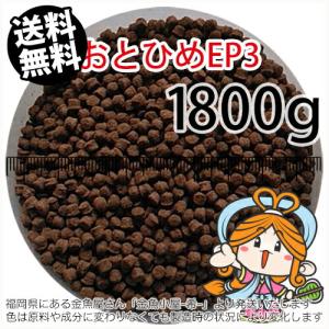めだかのエサ おとひめ サイズ B2 日清丸紅飼料 100グラム メダカ餌 送料無料 Oto100 めだか坂 Yahoo 店 通販 Yahoo ショッピング