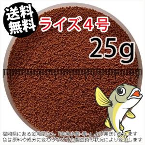 日清丸紅飼料ライズ4号(粒径0.58〜0.84mm)25g小分け品(メール便／金魚小屋-希-福岡／3日)
