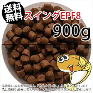 浮上性/日清丸紅飼料ひらめスイングEPF8(8.0mm)900g小分け品(メール便／金魚小屋-希-福岡／3日)1kgから規格変更｜goldfish-ki