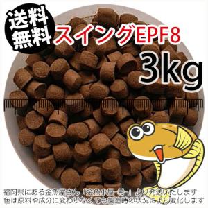 浮上性/日清丸紅飼料ひらめスイングEPF8(8.0mm)3kg小分け品(★宅配便★※東北・北海道・沖縄は別途送料800円／金魚小屋-希-福岡／3日)｜goldfish-ki