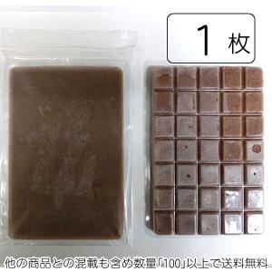 ベンリーパック食品 冷凍ミジンコ1枚 100g(...の商品画像
