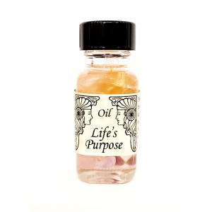 Lifes Purpose 人生の目的◆アンシェ...の商品画像