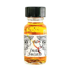 Insta-Success 素早いサクセス◆アン...の商品画像