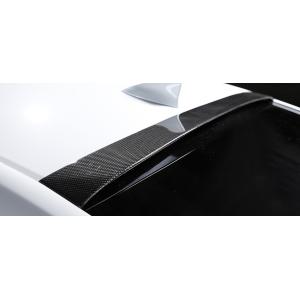 アーティシャンスピリッツ（ARTISAN） 【カーボン】ルーフスポイラー