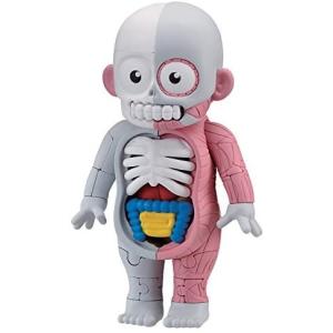 人体模型 内臓 パズル ゲーム おもちゃ の商品一覧 通販 Yahoo ショッピング