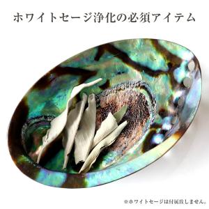 アバロンシェル ホワイトセージの浄化皿 パウア...の詳細画像3