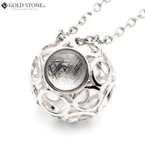 パラサイト 隕石 セイムチャン隕石 ペンダントトップ メテオライト