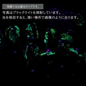 ハテルマブルー ホタルガラス 10mm 光る ...の詳細画像4