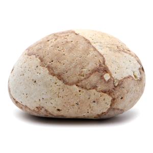 姫川薬石 糸魚川産 自然石 326g 特大サイズ 1点もの お風呂用 多用途 天然石 原石 パワーストーン 浄化グッズ 癒し ヒーリング プレゼント