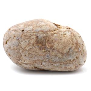 姫川薬石 糸魚川産 自然石 170g 特大サイズ 1点もの お風呂用 多用途 天然石 原石 パワーストーン 浄化グッズ 癒し ヒーリング プレゼント