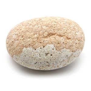 姫川薬石 糸魚川産 自然石 2.1kg 特大サイズ 1点もの お風呂用 多用途 天然石 原石 パワーストーン 浄化グッズ 癒し ヒーリング プレゼント