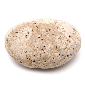 姫川薬石 糸魚川産 自然石 1.6kg 特大サイズ 1点もの お風呂用 多用途 天然石 原石 パワーストーン 浄化グッズ 癒し ヒーリング プレゼント