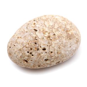 姫川薬石 糸魚川産 自然石 467g 手のひらサイズ 1点もの お風呂用 多用途 天然石 原石 パワーストーン 浄化グッズ 癒し ヒーリング プレゼント