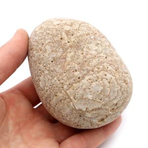 姫川薬石 糸魚川産 自然石 460g 手のひらサイズ 1点もの お風呂用 多用途 天然石 原石 パワーストーン 浄化グッズ 癒し ヒーリング プレゼント