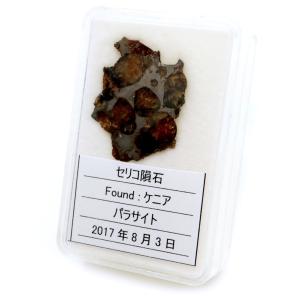パラサイト隕石 ケニア セリコ産 重量2.1g 隕石標本 パワーストーン 1点物 石鉄隕石｜goldstone