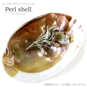 パールシェル ホワイトセージの浄化皿 貝殻 小物入れ オーストラリア産 イケチョウ貝 送料無料