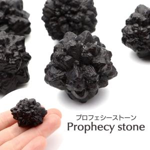 プロフェシーストーン 3-4m前後 1個売り 原石 結晶 ゼットストーン エジプト サハラ砂漠産 Prophecy stone 天然石 パワーストーン スピリチュアル