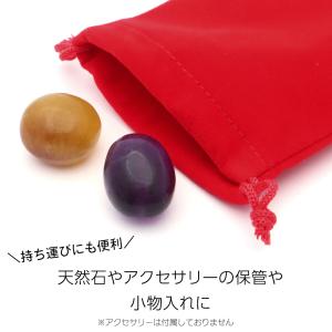 10個売り 巾着 ベロア 黒 赤 グレー ピン...の詳細画像1