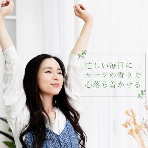 ホワイトセージ 線香 蓮の花 お香立て 2点セ...の詳細画像4