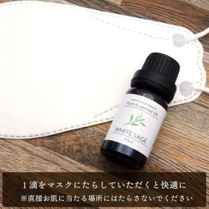 ホワイトセージ 精油 アロマオイル 10ml ...の詳細画像3