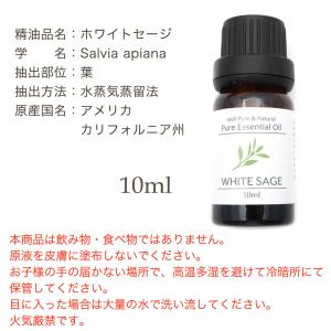 ホワイトセージ 精油 アロマオイル 10ml ...の詳細画像4