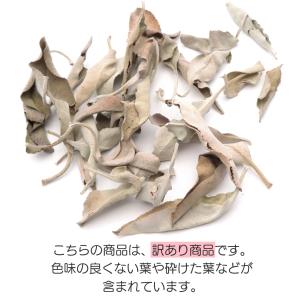 ホワイトセージ クラッシュ 訳あり 無選別 B...の詳細画像2