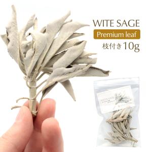 ホワイトセージ 枝付き クラスター 10g 選別済み 特選 プレミアム リーフ 無農薬 オーガニック カルフォルニア産 お香 アロマ white sage 送料無料 敬老の日