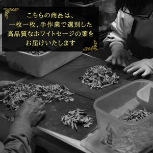 ホワイトセージ 枝無し リーフのみ 10g 選...の詳細画像2