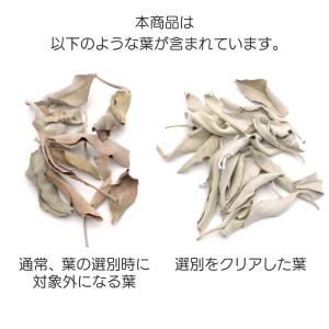 ホワイトセージ クラッシュ 無選別 50g 無...の詳細画像3