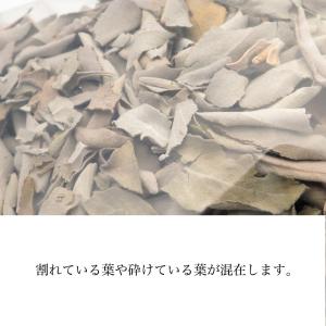 ホワイトセージ クラッシュ 無選別 50g 無...の詳細画像4