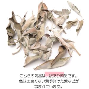 ホワイトセージ クラッシュ 訳あり 無選別 B...の詳細画像2