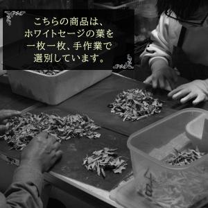 ホワイトセージ 枝無し 選別済み 無農薬 オー...の詳細画像2