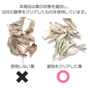 ホワイトセージ 枝無し 選別済み 無農薬 オー...の詳細画像3